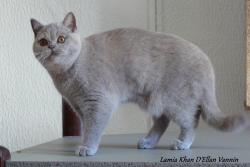 Lamia Khan d'Ellan Vannin British